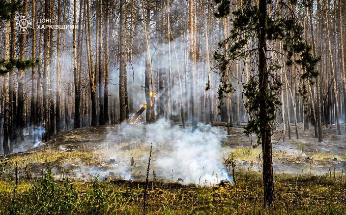 у лісництві на Ізюмщині ліквідували пожежу на 12 га